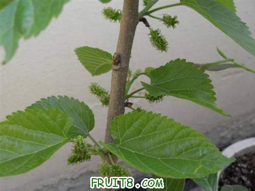 SDC12894 (С��).JPG