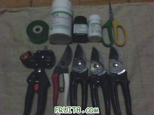 IMG0738A.jpg