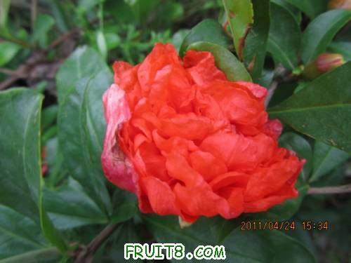 IMG_1359.JPG