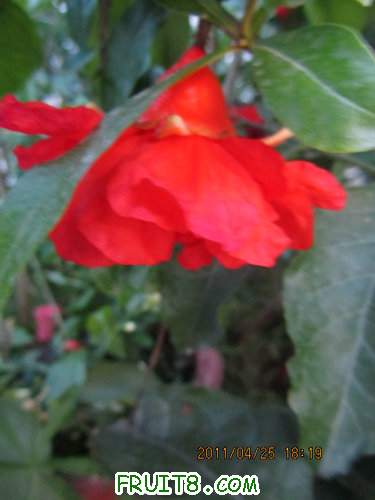 IMG_1629.JPG