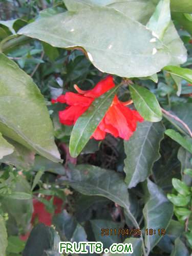 IMG_1628.JPG