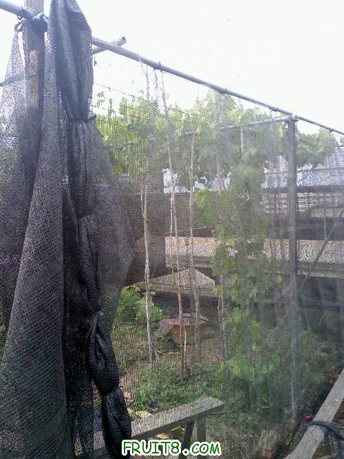 20110426142225.jpg