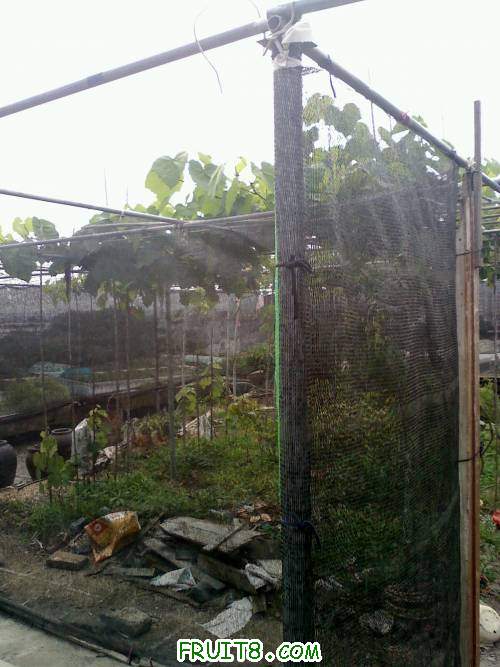 20110426142136.jpg