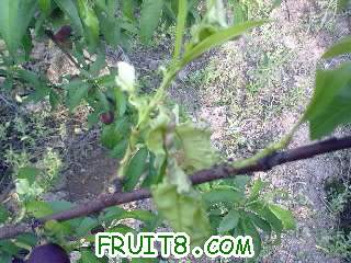 20110427087.jpg