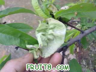 20110424047.jpg