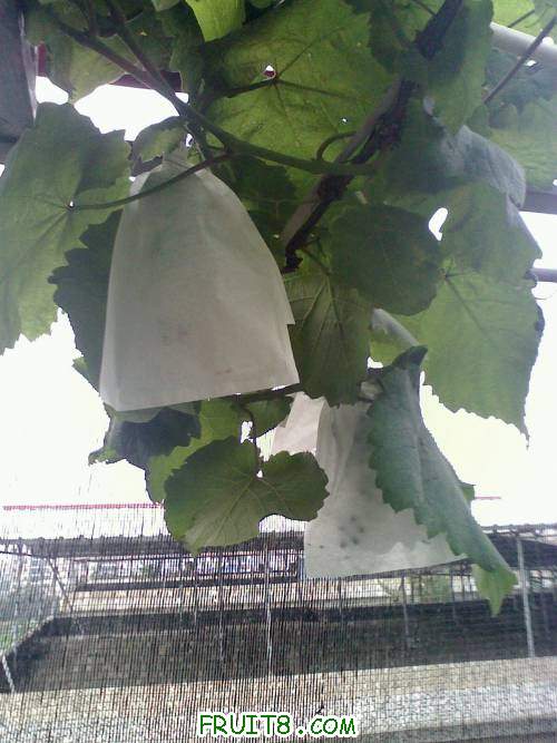 20110428175736.jpg