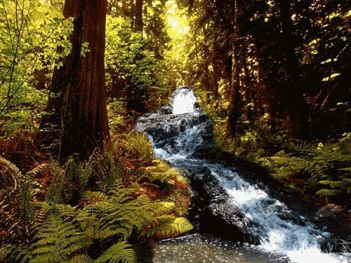 200986121937.gif