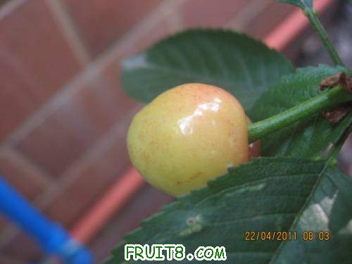IMG_1769_copy.jpg