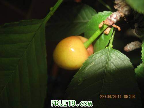 IMG_1772_copy.jpg