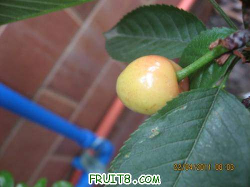 IMG_1773_copy.jpg
