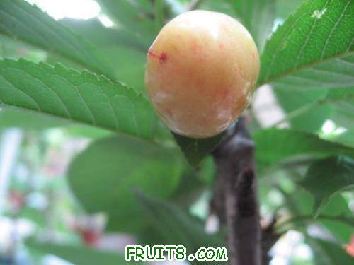 IMG_1803_copy.jpg