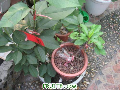 IMG_1804_copy.jpg