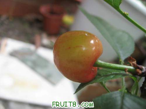IMG_1856_copy.jpg