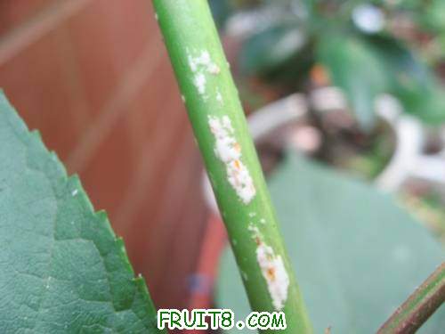 IMG_0117_copy.jpg