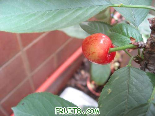 IMG_0107_copy.jpg