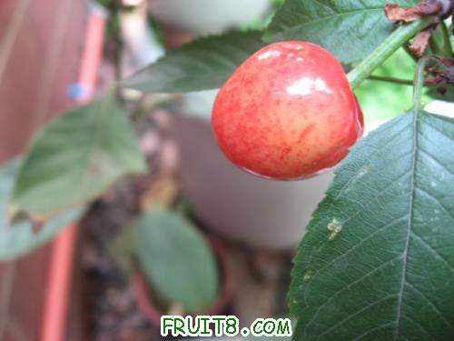 IMG_0185_copy.jpg