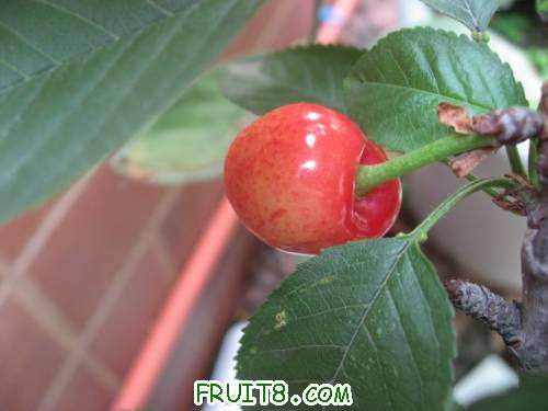 IMG_0183_copy.jpg