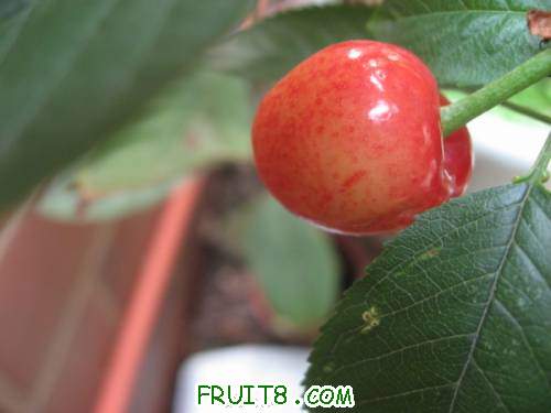 IMG_0184_copy.jpg