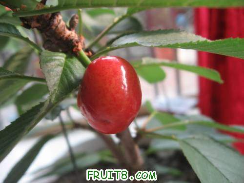 IMG_0226_copy.jpg