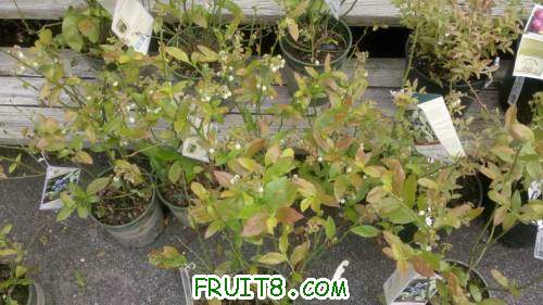 2011-04-29_15-03-25_829.jpg