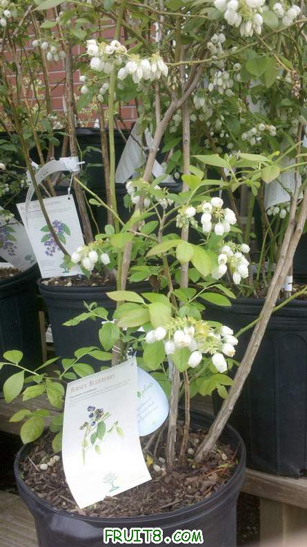 2011-04-29_15-04-31_135.jpg