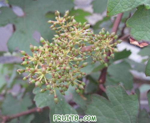 20110430-�Ա�����������.jpg