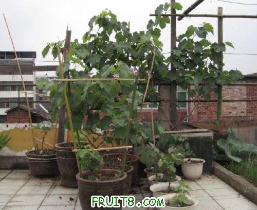 20110430-�������Ѽ���.jpg