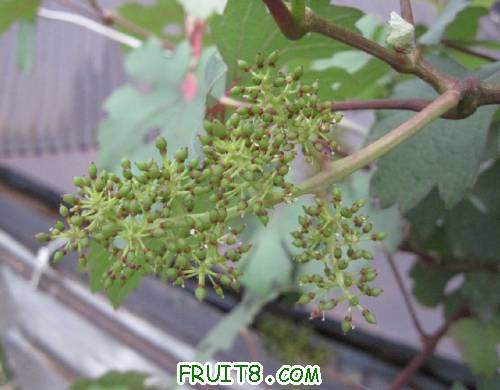 20110430-�Ա�����������02.jpg