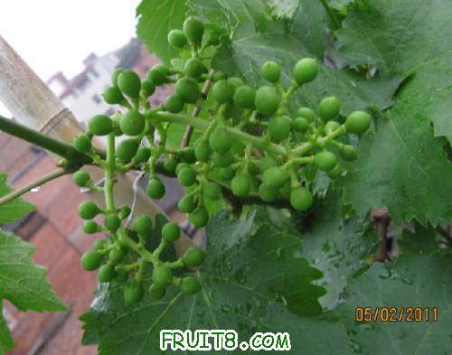 20110502-��ͣ�˳�������10.jpg