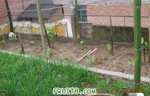 20110502-��ͣ�˿�������01.jpg