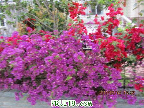 IMG_2773.JPG