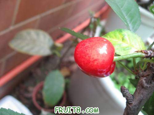 IMG_0285_copy.jpg