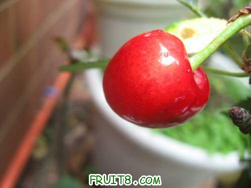 IMG_0485_copy.jpg
