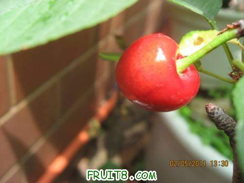 IMG_0479_copy.jpg