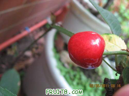 IMG_0383_copy.jpg
