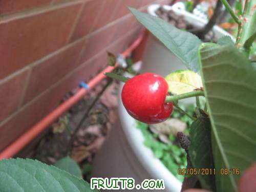 IMG_0384_copy.jpg