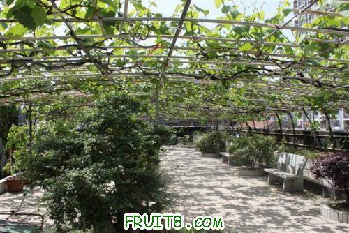 IMG_3448 (�Զ���).jpg