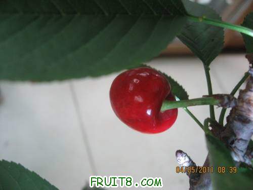 IMG_0546_copy.jpg