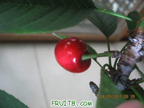 IMG_0548_copy.jpg