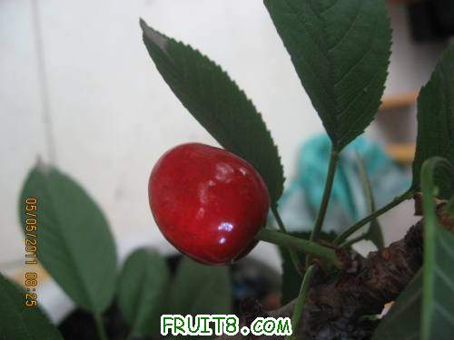 IMG_0645_copy.jpg