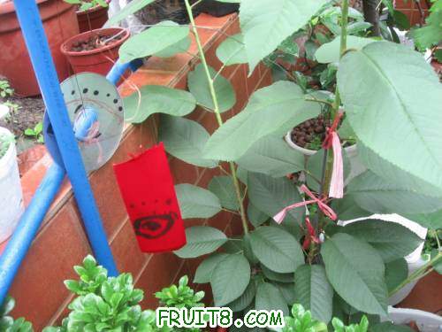 IMG_0660_copy.jpg