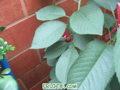 IMG_0664_copy.jpg