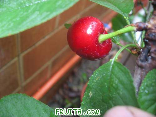 IMG_0733_copy.jpg