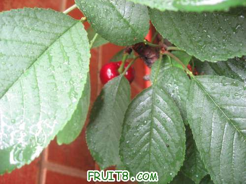 IMG_0731_copy.jpg