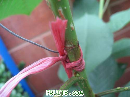 IMG_0754_copy.jpg