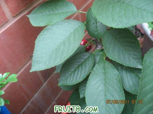 IMG_0744_copy.jpg