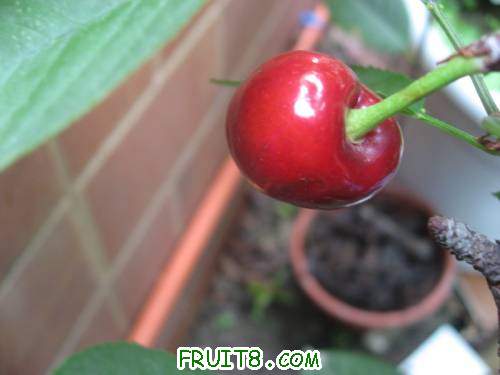 IMG_0748_copy.jpg