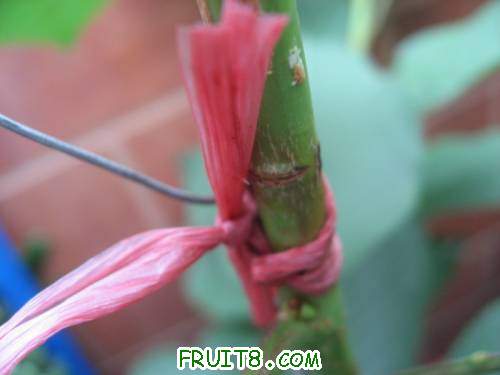 IMG_0753_copy.jpg