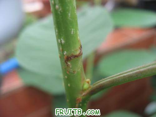 IMG_0752_copy.jpg