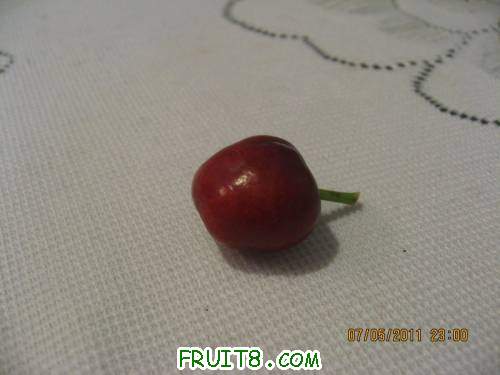 IMG_0986_copy.jpg